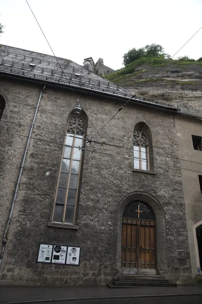 DSC_6203 (Large).JPG